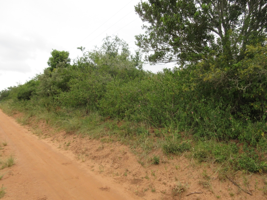 0 Bedroom Property for Sale in Bathurst Eastern Cape